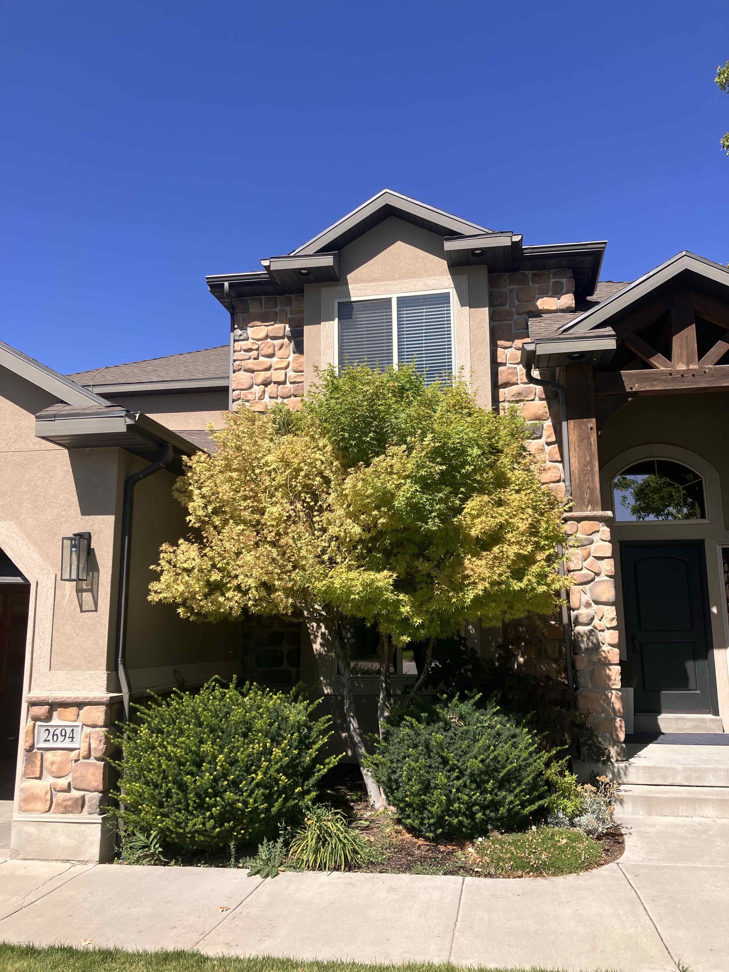 Lehi Utah County Tree Removal, Tree Trimming Services, Safe Tree Removal, Affordable Tree Removal, Stump Grinding, Stump Removal