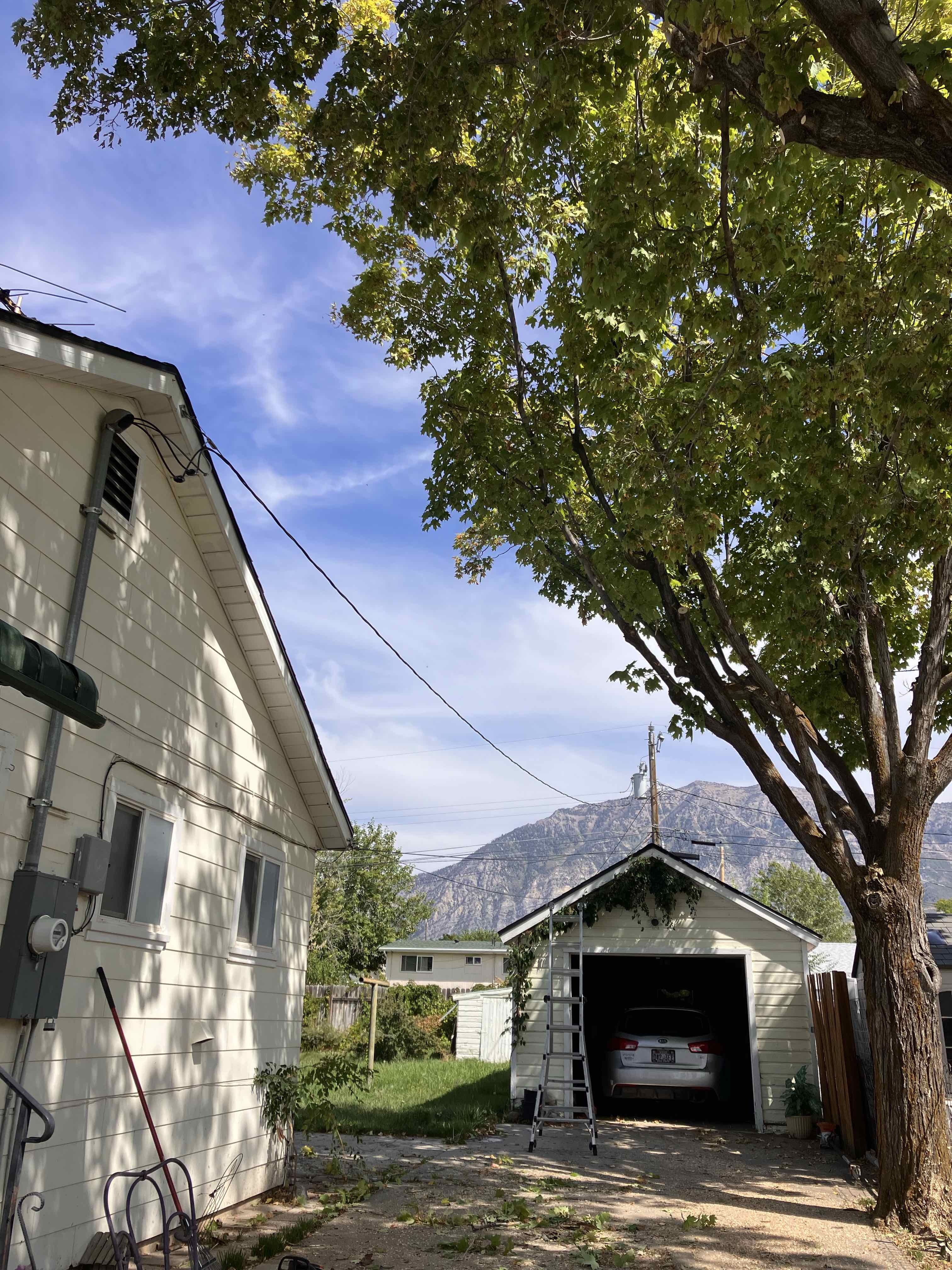 Orem Utah County tree removal tree trimming services safe tree removal affordable tree removal stump grinding stump removal