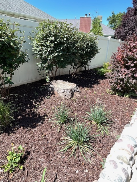 Orem, Utah Utah County Tree Removal Tree Trimming Services Safe Tree Removal Affordable Tree Removal Stump Grinding Stump Removal