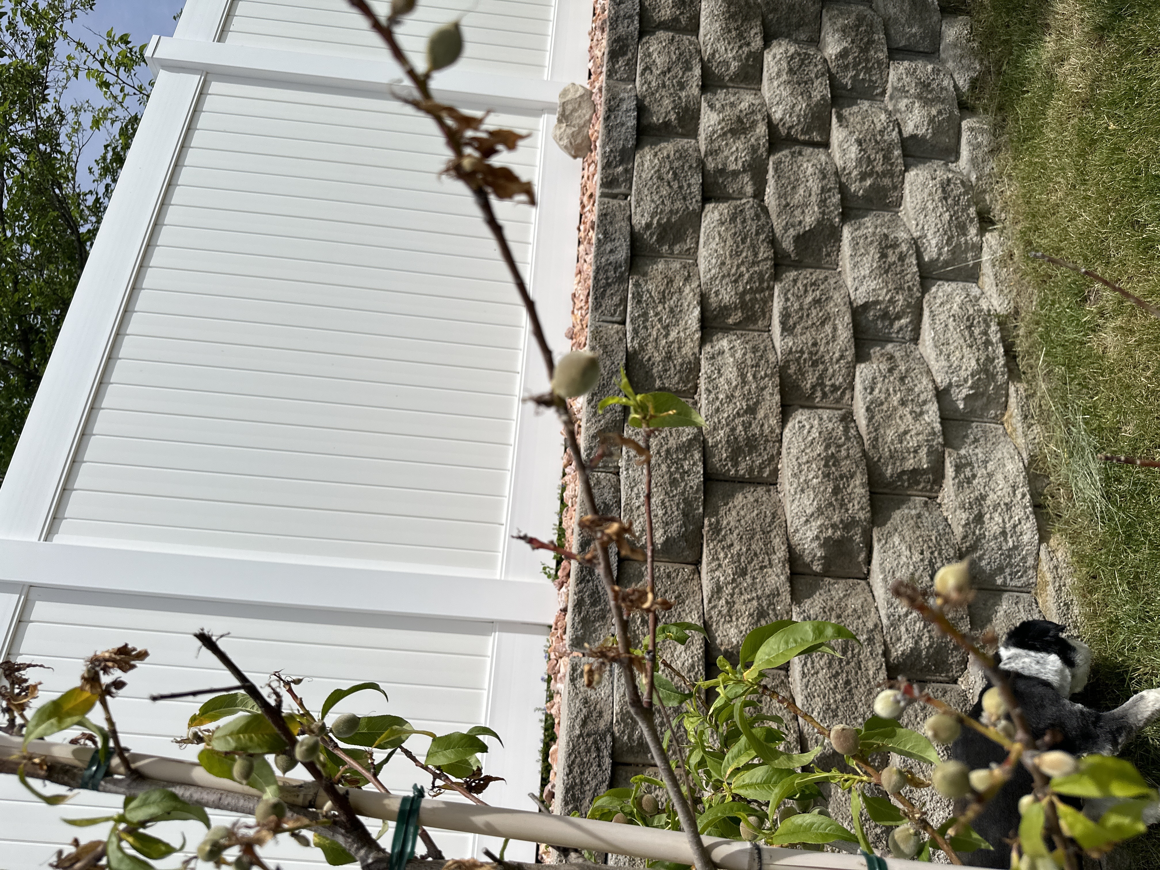 Orem, Utah Tree Services by Go and Grow Tree Co.