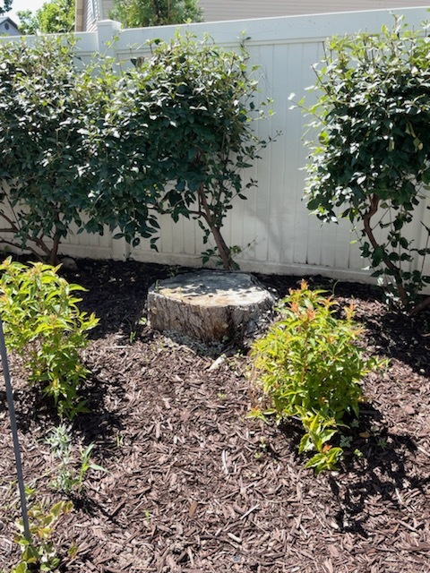 Orem, Utah Utah County Tree Removal Tree Trimming Services Safe Tree Removal Affordable Tree Removal Stump Grinding Stump Removal