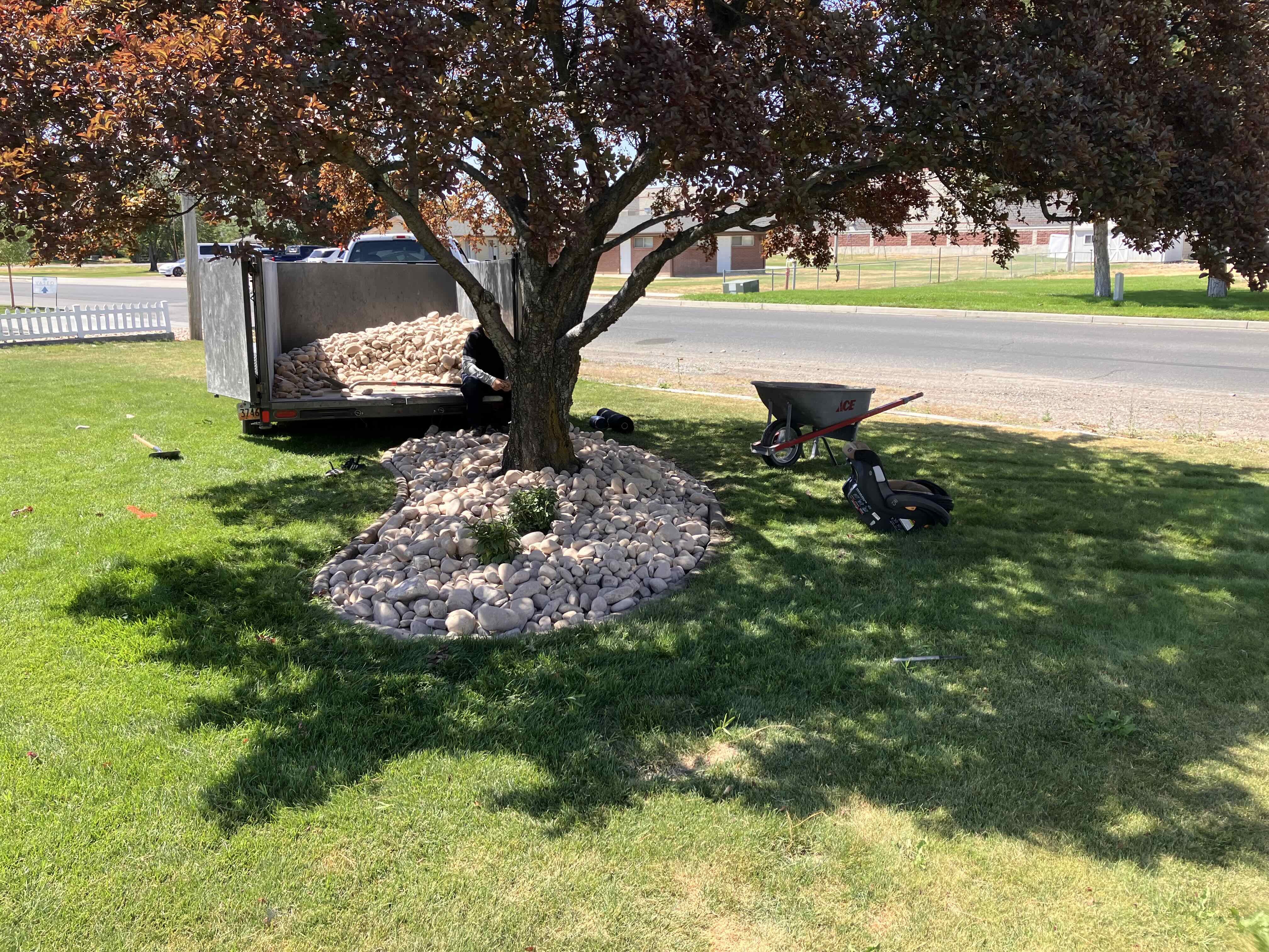 Pleasant Grove tree removal services
