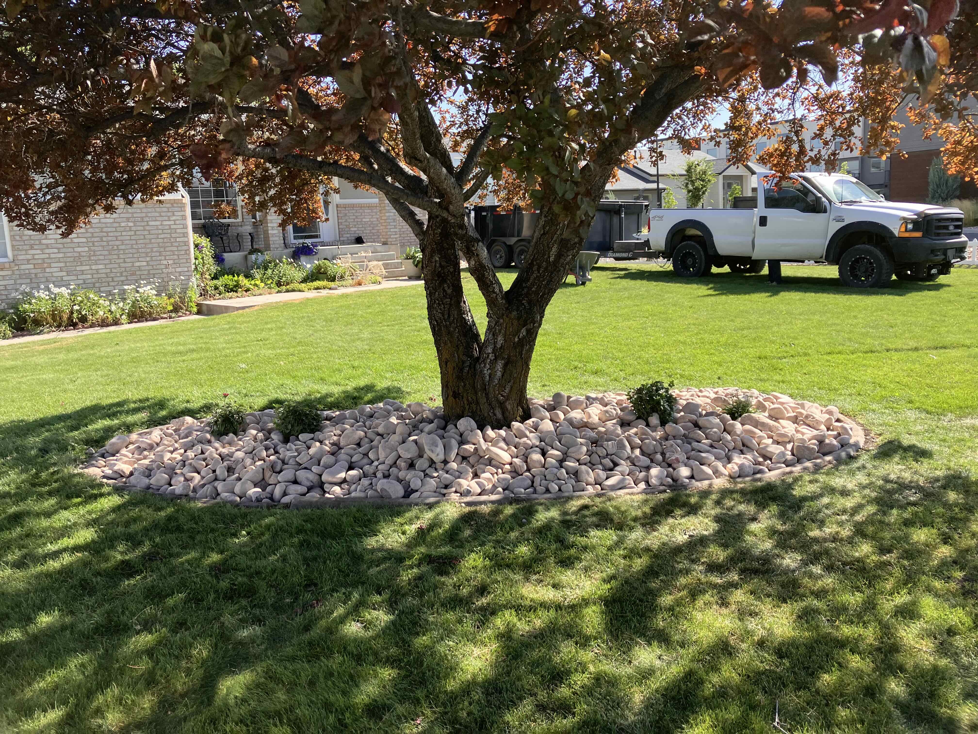 Tree trimming services Pleasant Grove