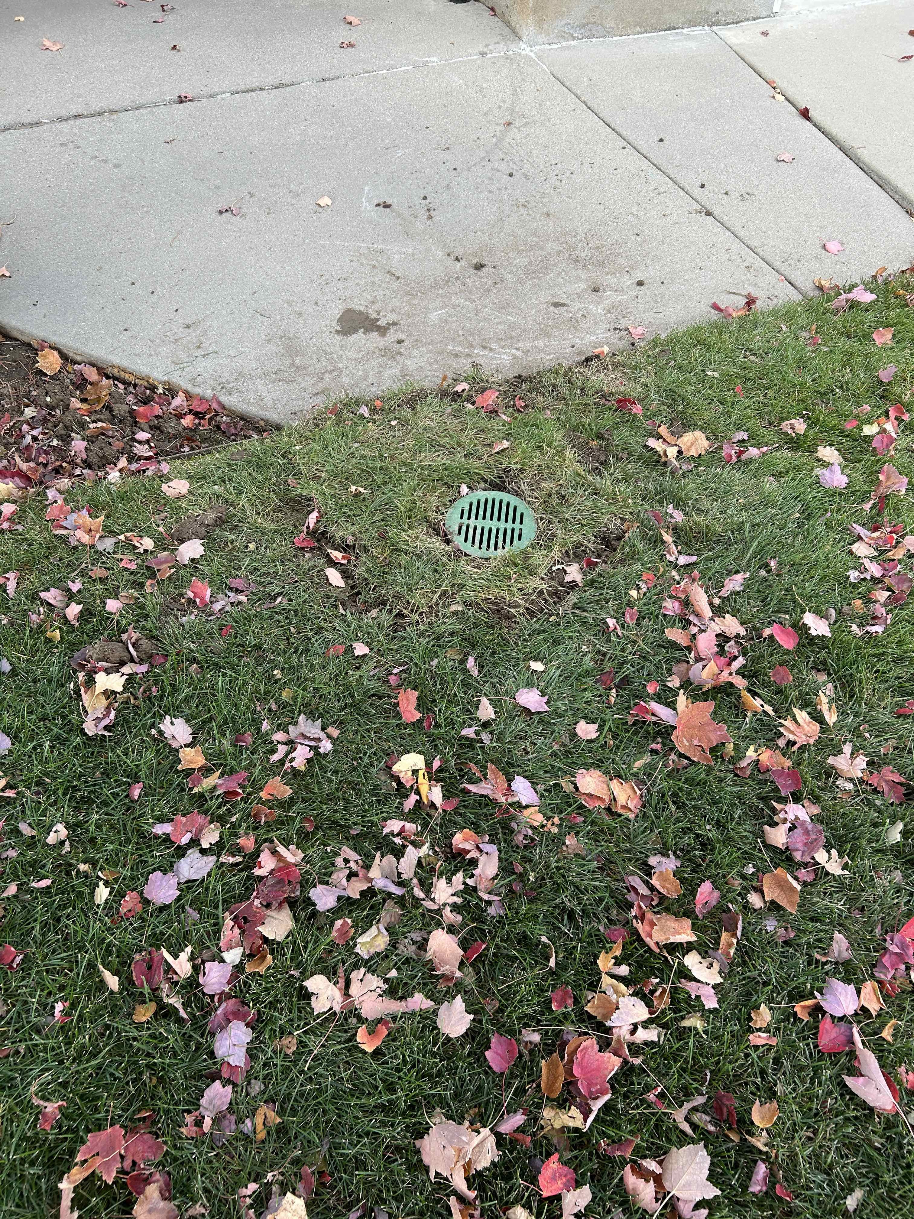 Provo, UT Downspout extension, Drainage system installation, Catch basin installation, Water runoff management, Exterior drainage solutions