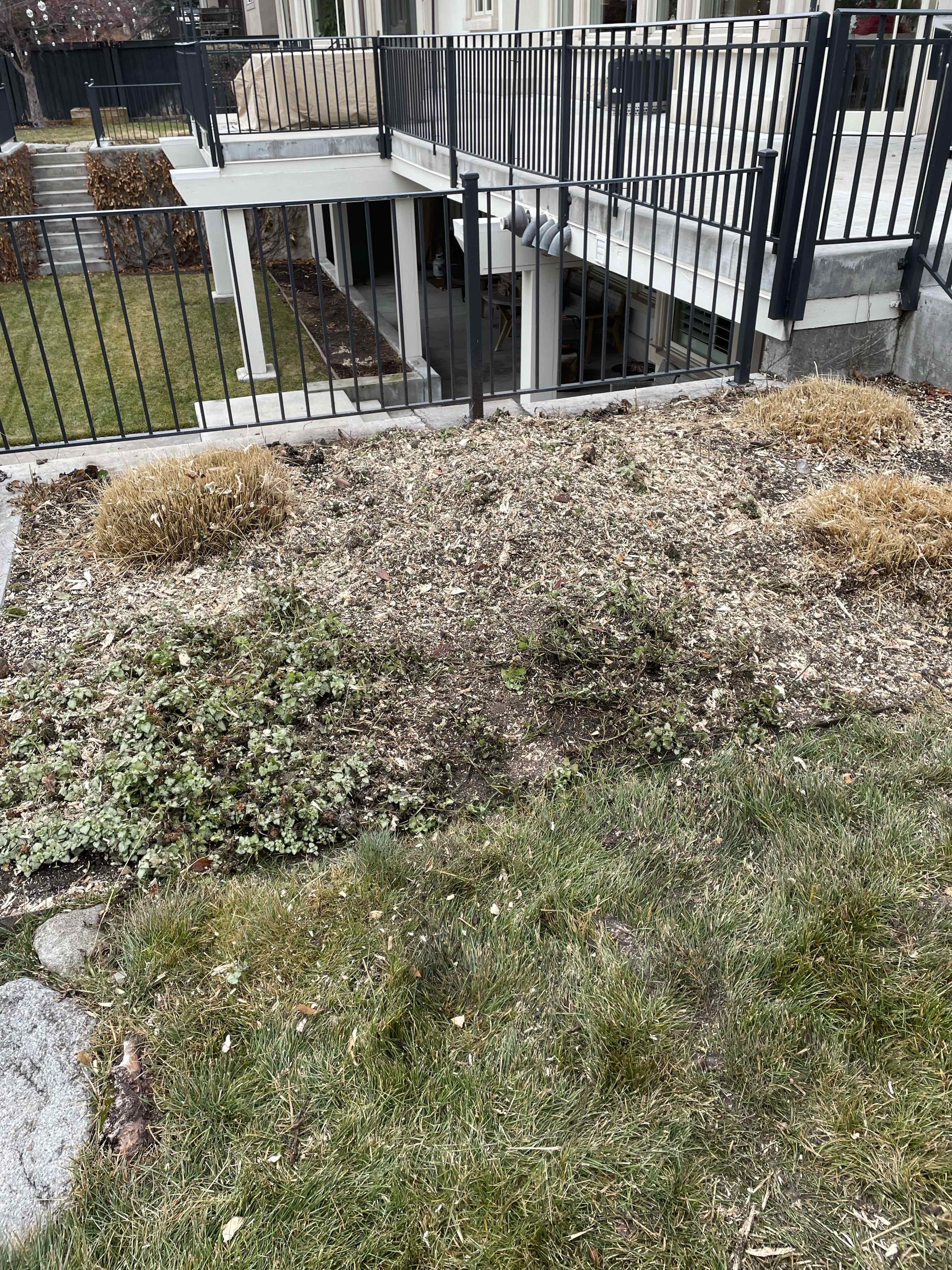 Efficient stump grinding process in Provo, UT by Stump X