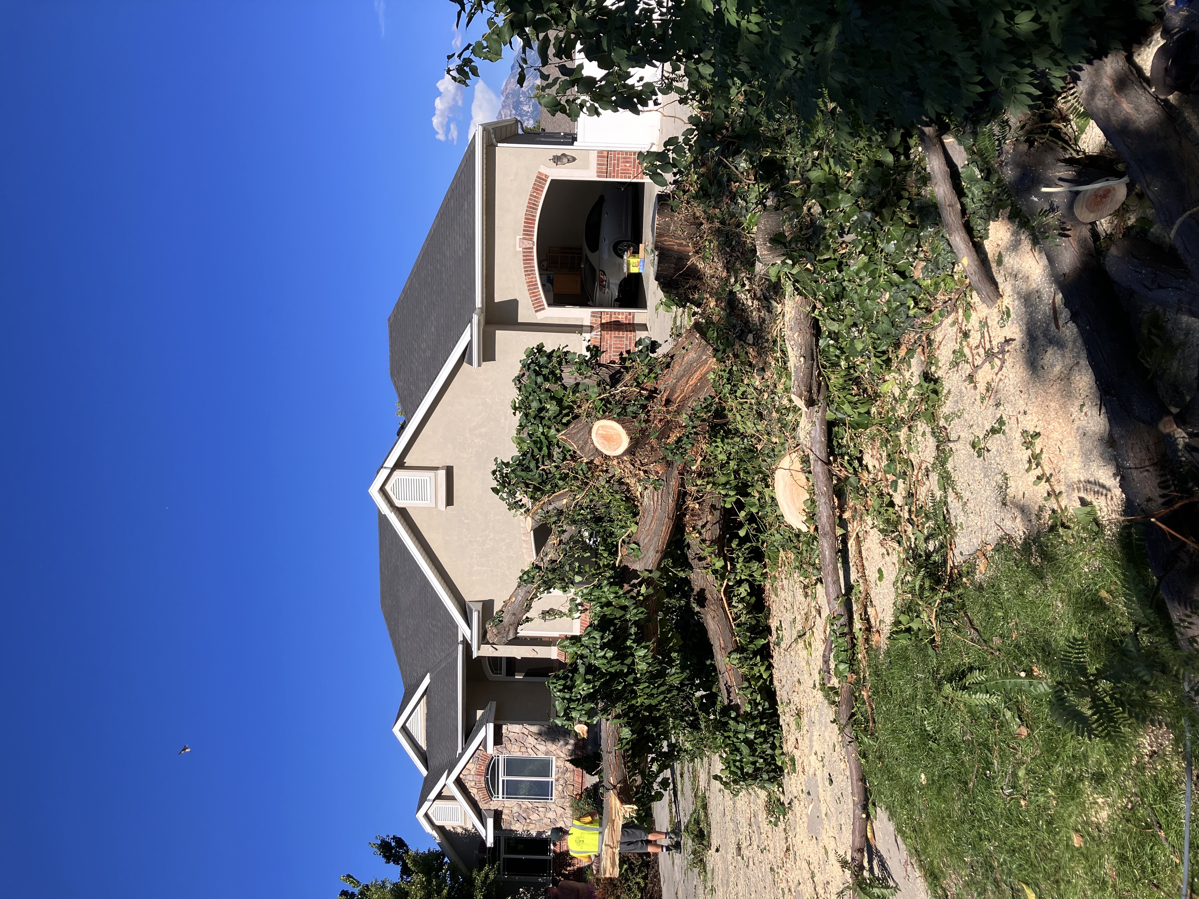 Go and Grow Tree Co. ensures safe and beautiful landscapes in South Jordan