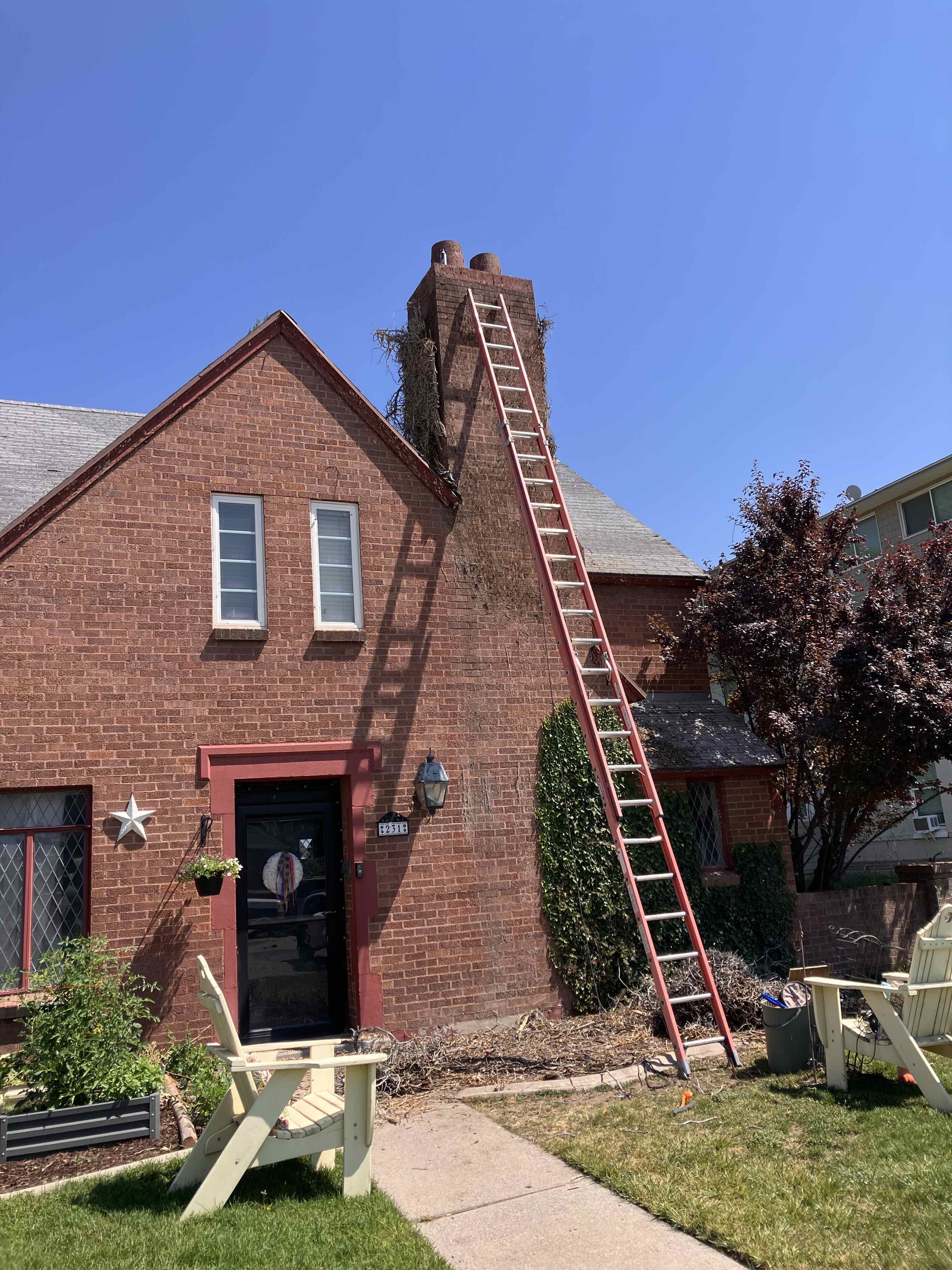 Finished Project of Go and Grow Tree Co. in Springville