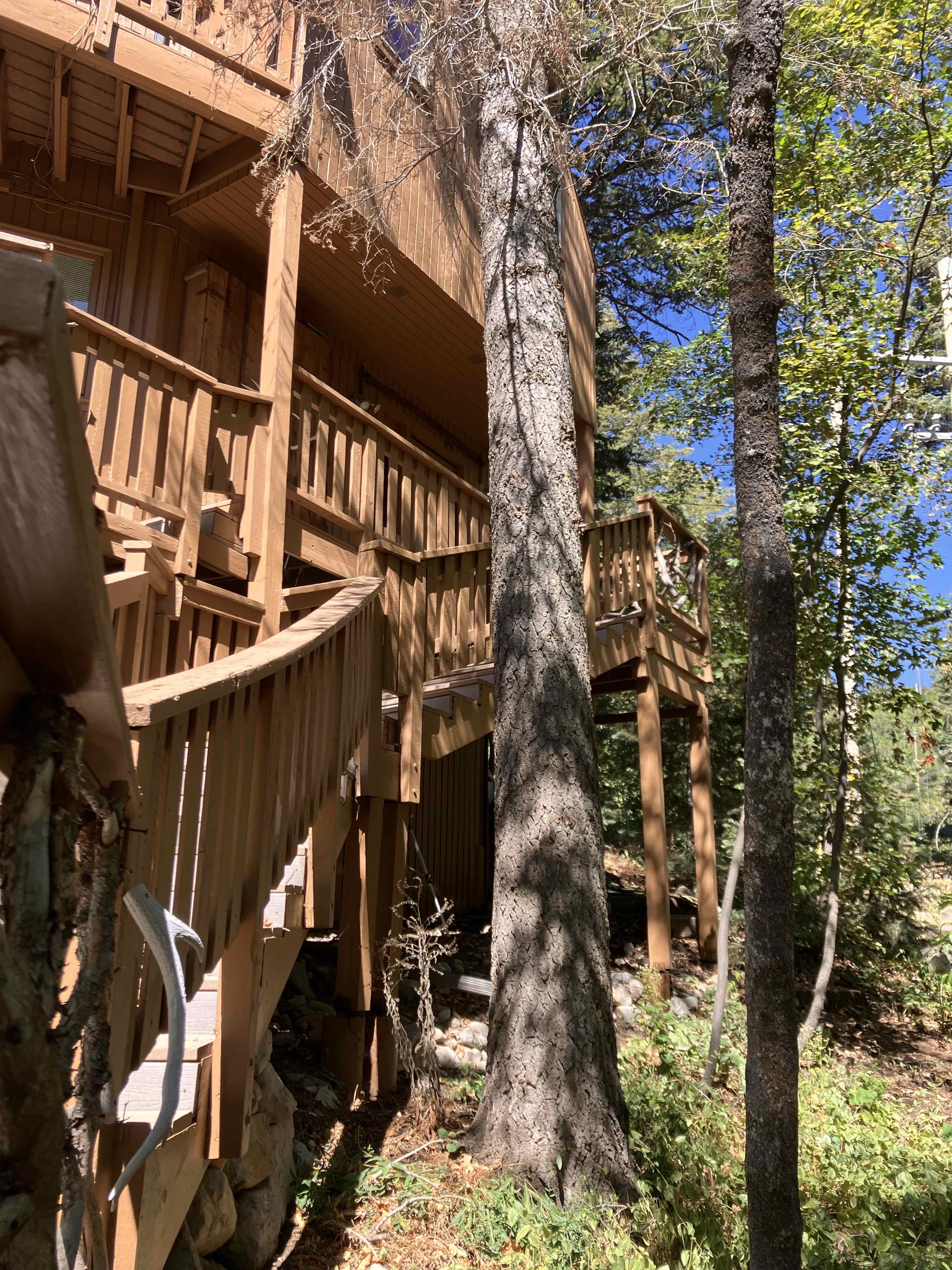 Sundance Utah County Tree Removal, Tree Trimming Services, Safe Tree Removal, Affordable Tree Removal, Stump Grinding, Stump Removal