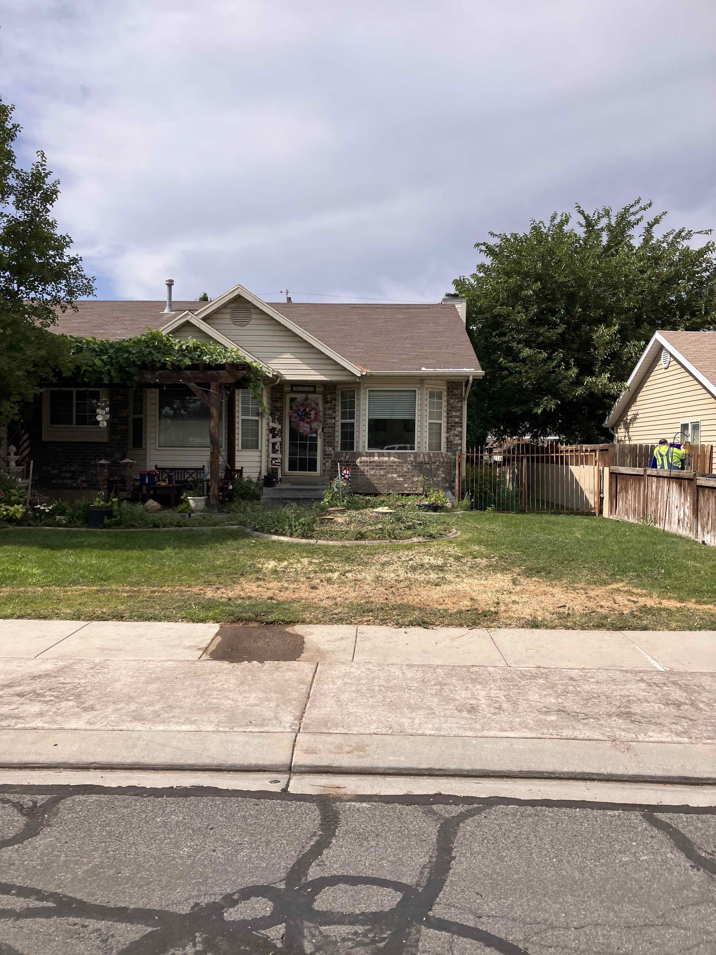 West Jordan Utah County Tree Removal Tree Trimming Services Safe Tree Removal Affordable Tree Removal Stump Grinding Stump Removal